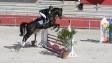 Stages or et galop 3