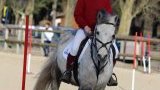 Concours et animations