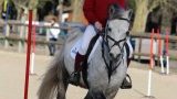 Concours et animations